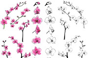 Vector Watercolor Orchid, a Decorative Illustration by Dora Katona (Thumbnail 3 of 4)