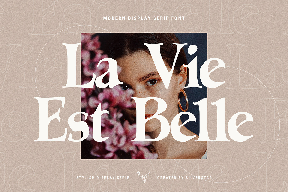 Lumière - Modern Display Serif Font, a Serif Font by SilverStag Type Foundry (Photo 4 of 15)