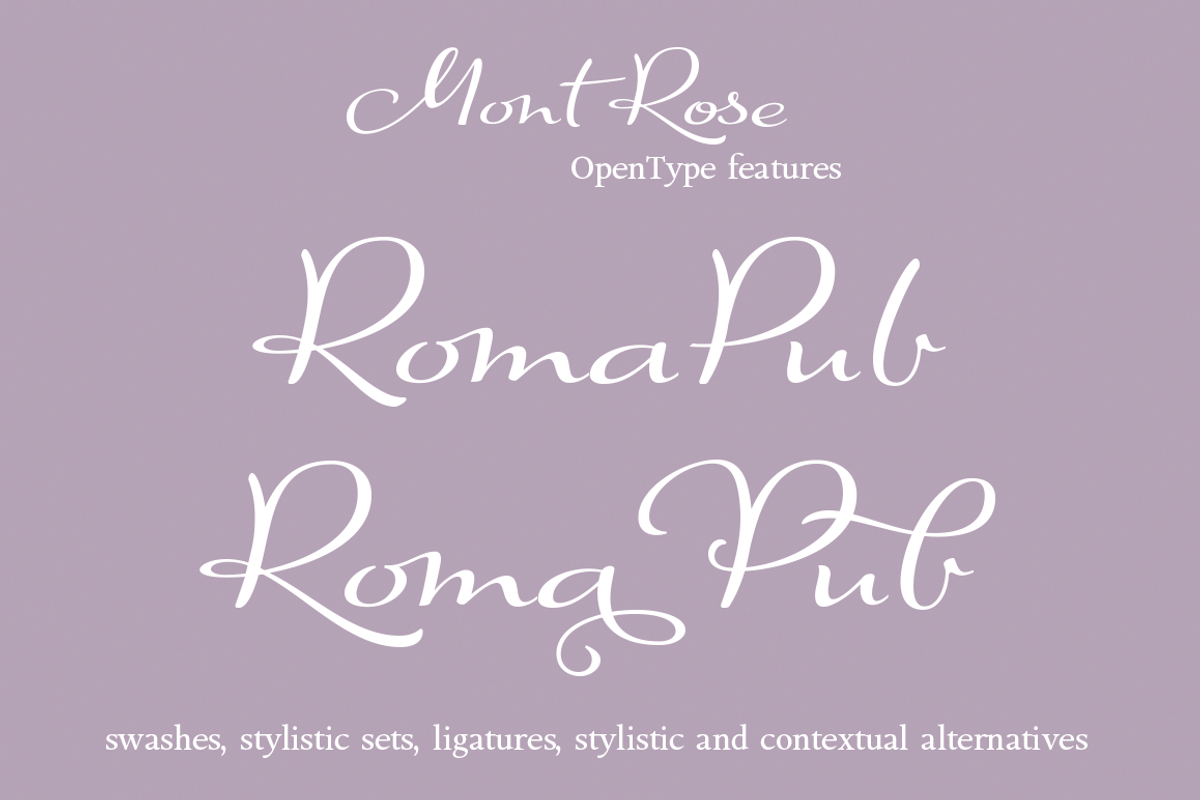 Mont Rose, a Script Font by Eurotypo (Photo 3 of 5)