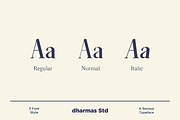 Average - Modern Serif Typeface, a Serif Font by Dharmas Foundry (Thumbnail 5 of 15)