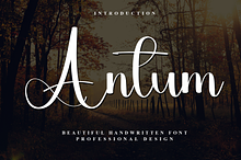 Antum