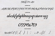 Bulliandry | Modern Calligraphy, a Script Font by Analogous (Thumbnail 11 of 14)