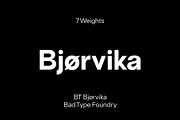 BT Bjørvika, a Sans Serif Font by BadType (Thumbnail 1 of 10)