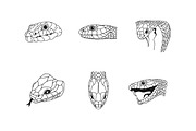 Procreate Scales Brush., a Brush Add-On by Lucrumplus (Thumbnail 3 of 5)