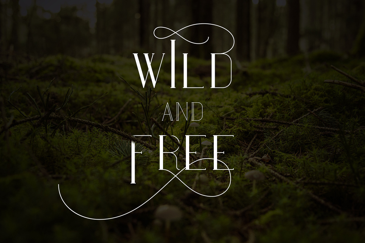 Maria Serif Font -50% preview 4