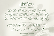 Soulmate - Modern Cursive Script, a Script Font by Pixesia Studio (Thumbnail 11 of 11)