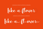 Aveniqueacl - Modern Script Typeface, a Font by Indotype Foundry (Thumbnail 3 of 10)