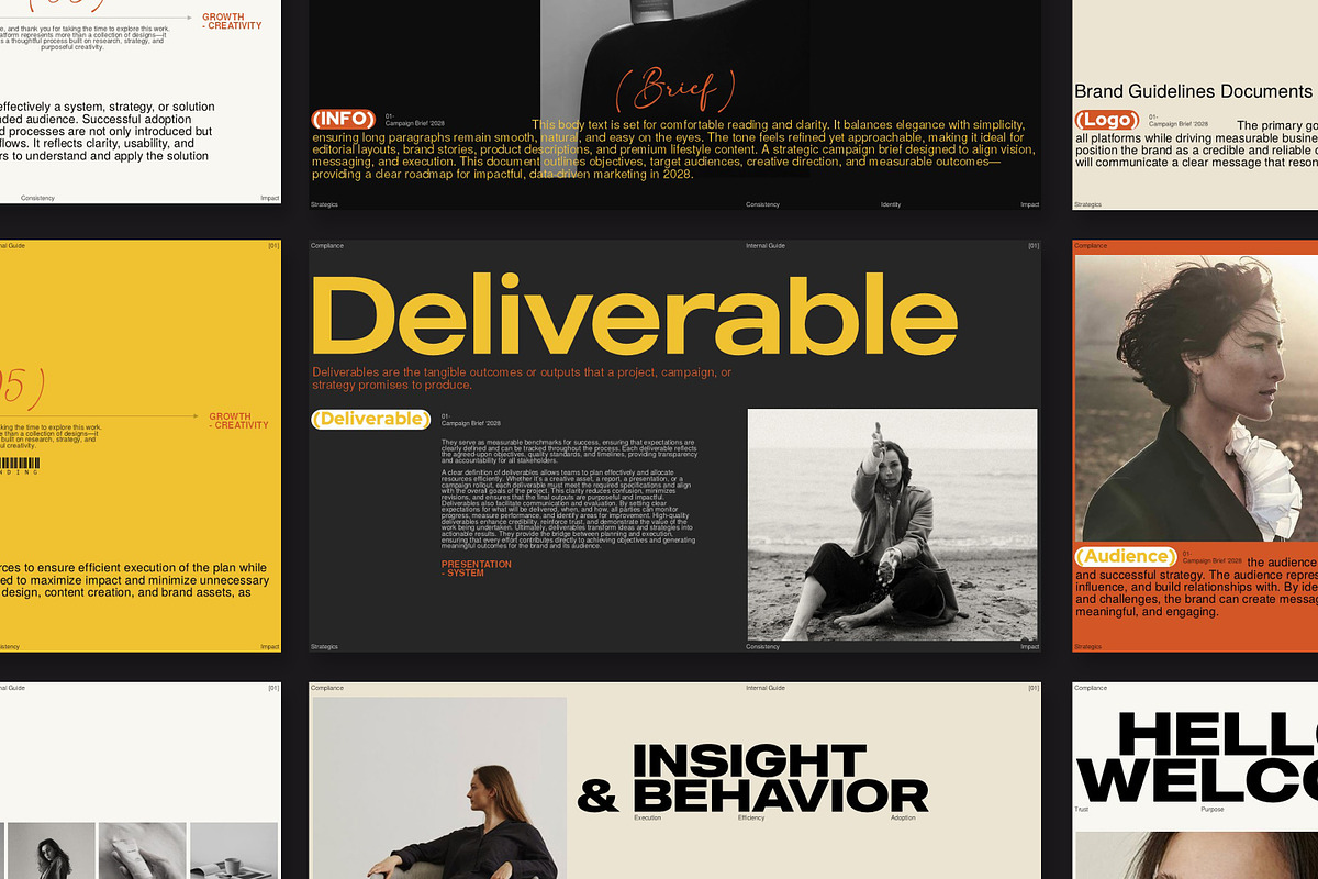 Brief Campaign Presentation Template, a Presentation Template by GoldenPixelStudio (Photo 3 of 9)