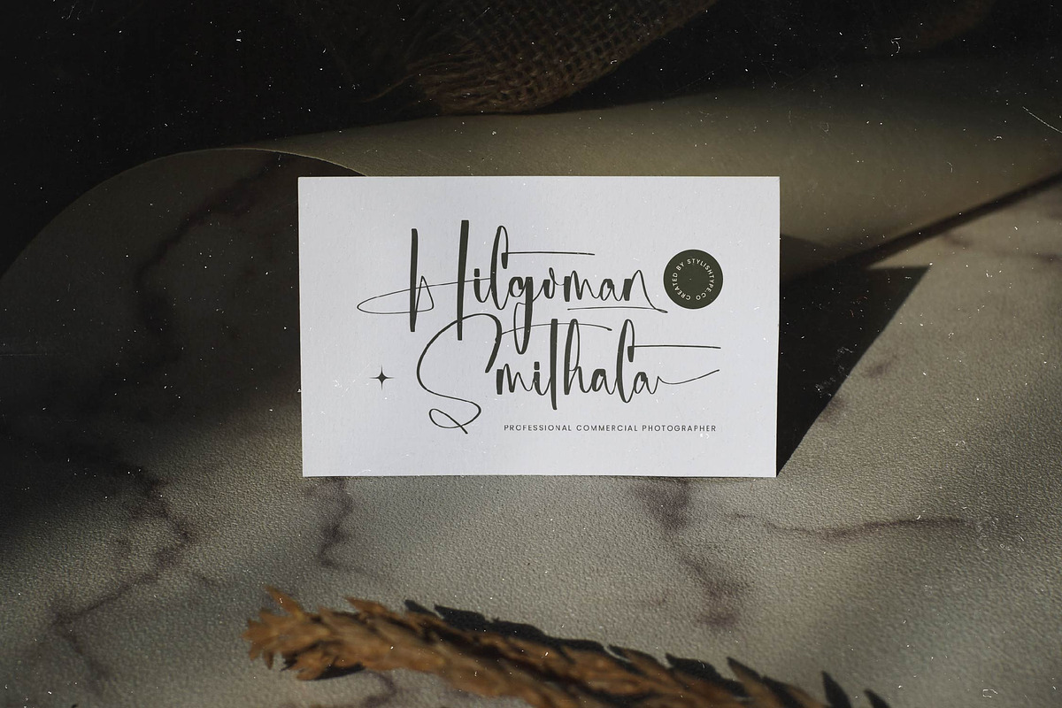 Michelyne Stylish Signature Font, a Script Font by stylishtype.co (Photo 17 of 20)