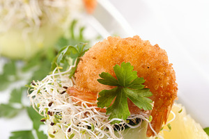 Cucumber and shrimp appetizer, a Food & Drink Photo by Apolonia