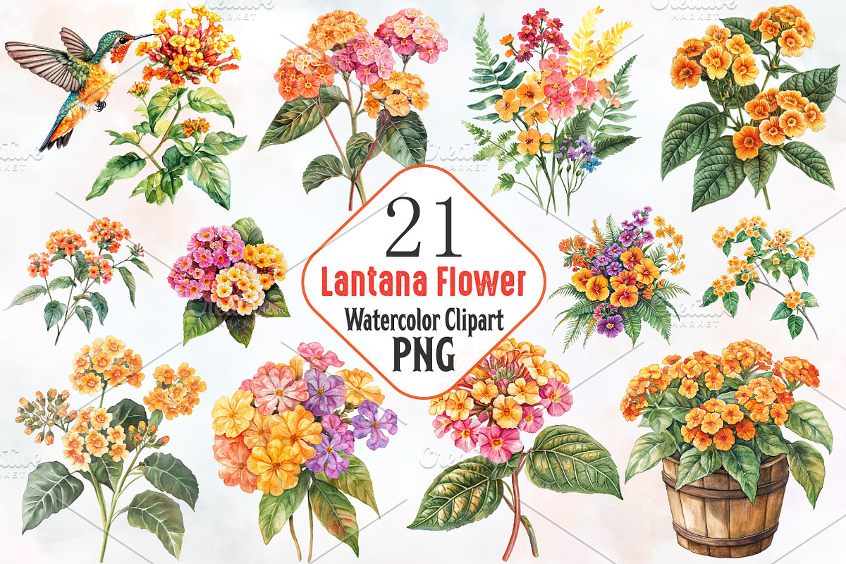 Lantana Flower Watercolor Cliparts, an Illustration by RobertsArt (Photo 1 of 7)
