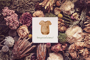 Gender reveal clipart & pattern, a Decorative Illustration by SleptArt (Thumbnail 3 of 7)