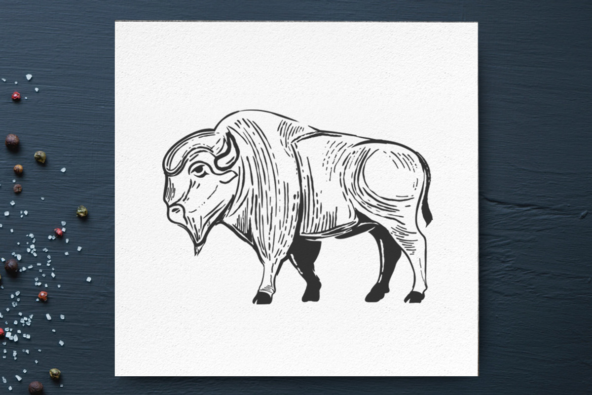 Vintage bison engraving + package, an Animal Illustration by 1baranov (Photo 2 of 2)