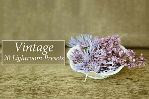 20 Vintage Lr Presets