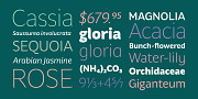 Hua, a Sans Serif Font by YXType (Thumbnail 9 of 10)
