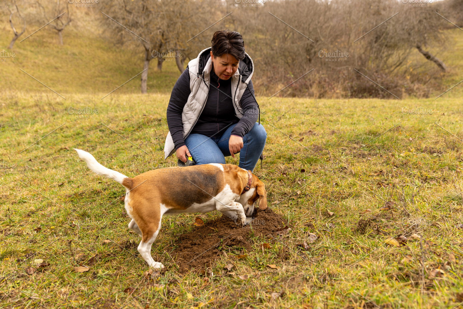 Woman and beagle dog digging outdoors, a Photo by Grafvision photography