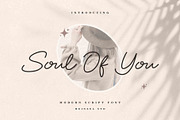 Soul Of You Modern Script Font, a Handwritten Font by Heinzel Std (Thumbnail 12 of 12)