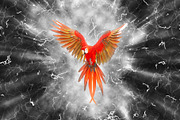 Thunder Burst Photoshop Action, an Action Add-On by MRI STUDIO (Thumbnail 9 of 11)
