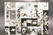 Halftone Floral Backgrounds, a Background Graphic by Natali Batu (Thumbnail 5 of 8)