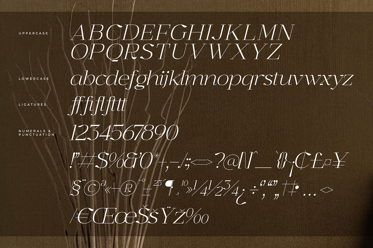 Graflows Modern Font Serif, a Serif Font by Letterena Studios (Photo 14 of 15)