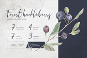 Forest huckleberry berries, a Food Illustration by MsFlaffy (Thumbnail 1 of 11)