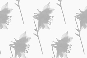 Flower Photoshop Brushes