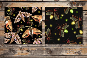 Moths And Fireflies Patterns