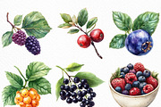 Watercolor Berry Bliss Clipart, an Illustration by Craft Nest (Thumbnail 2 of 6)