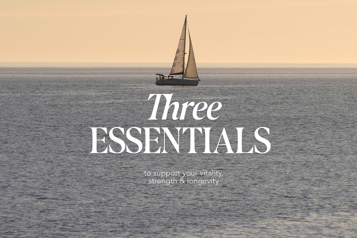 Greatfield- Roman and Italic, a Serif Font by Mulkan Nazir (Photo 8 of 15)
