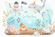 In The Sea. Watercolor Collection, an Animal Illustration by StarJam (Thumbnail 4 of 5)