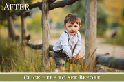 In The Grass photo overlays set, an Object Graphic by BrownLeopard (Thumbnail 2 of 5)