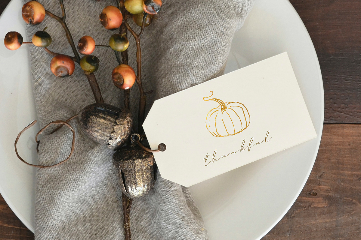 Pumpkins. Graphic collection, an Object Graphic by Vera●Suleimanova (Photo 2 of 14)