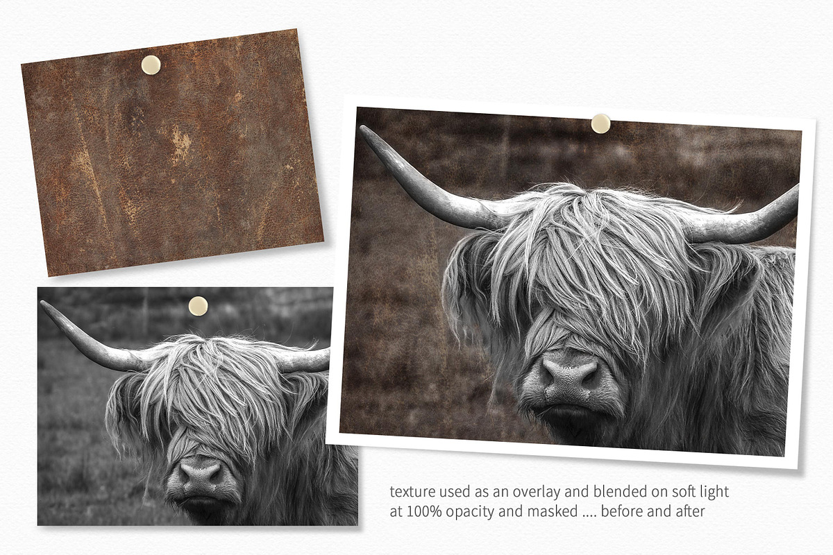 Textures of Texas, a Texture Graphic by rileyBgraphics (Photo 3 of 8)