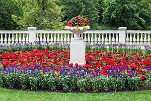 Public park and landscaped flowerbed, a Nature Photo by BOOCYS