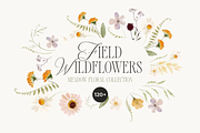 Watercolor Wildflowers Bundle, a Decorative Illustration by Lana Elanor (Thumbnail 6 of 9)