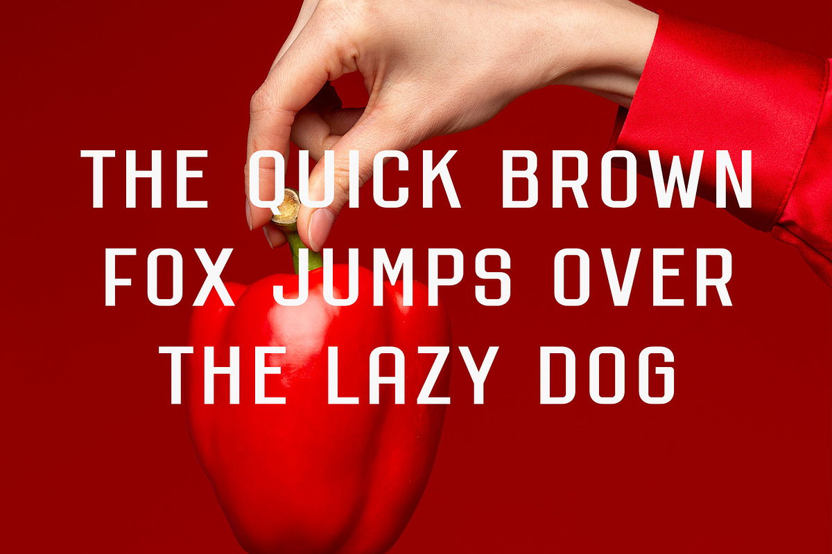 Brinaria - Modern Sans Serif, a Sans Serif Font by Typeformers (Photo 2 of 5)