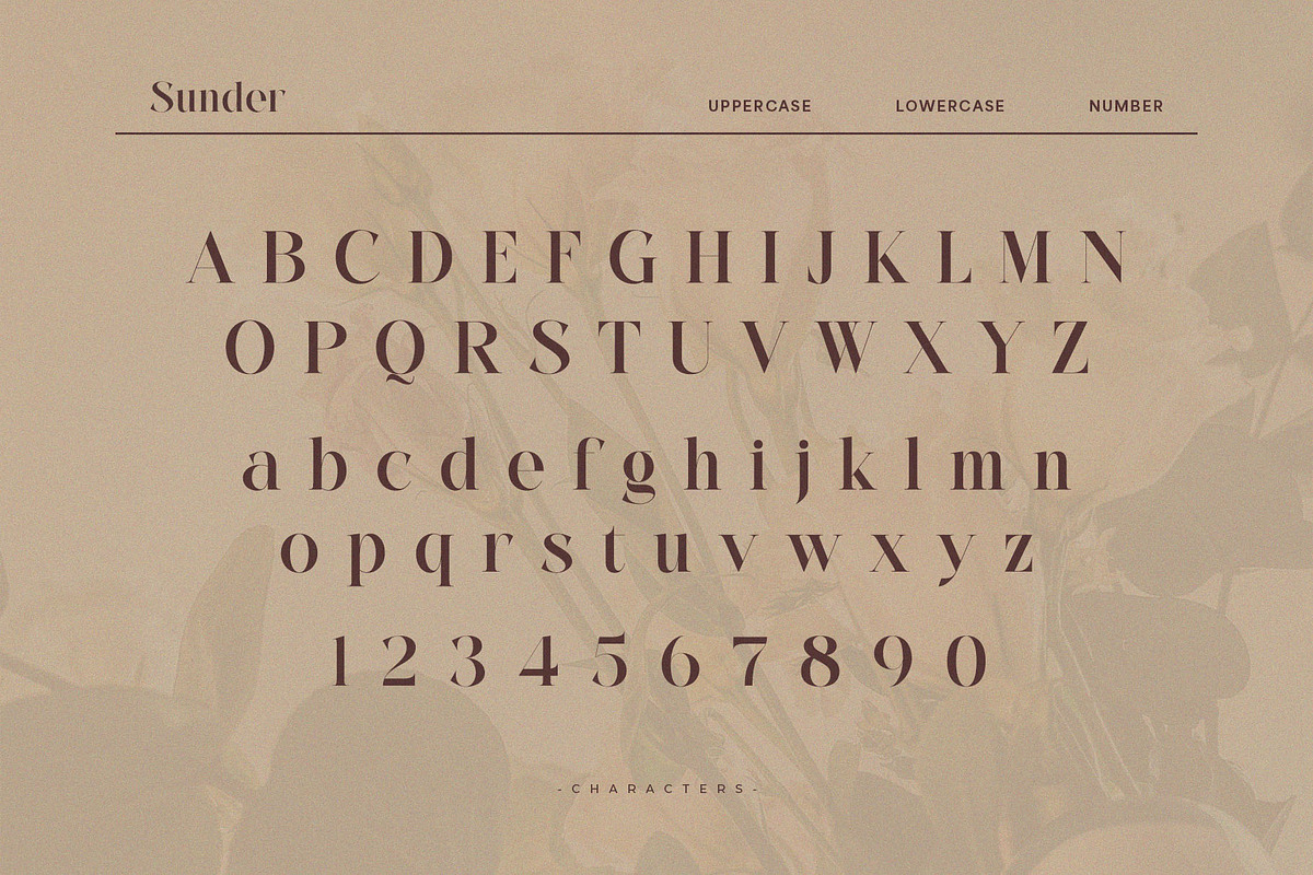 Sunder – Modern Elegant Serif Font, a Serif Font by BrandSemut (Photo 8 of 10)
