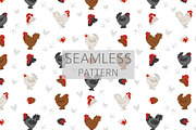 Frizzle Chicken breed clip art, an Animal Illustration by pet design shop (Thumbnail 5 of 5)
