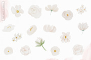 Blush & Botanica Florals, an Illustration by PrettyGrandmillennial (Thumbnail 2 of 13)