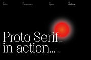 Proto Serif Light, a Serif Font by Bukva™ Type Foundry (Thumbnail 8 of 13)