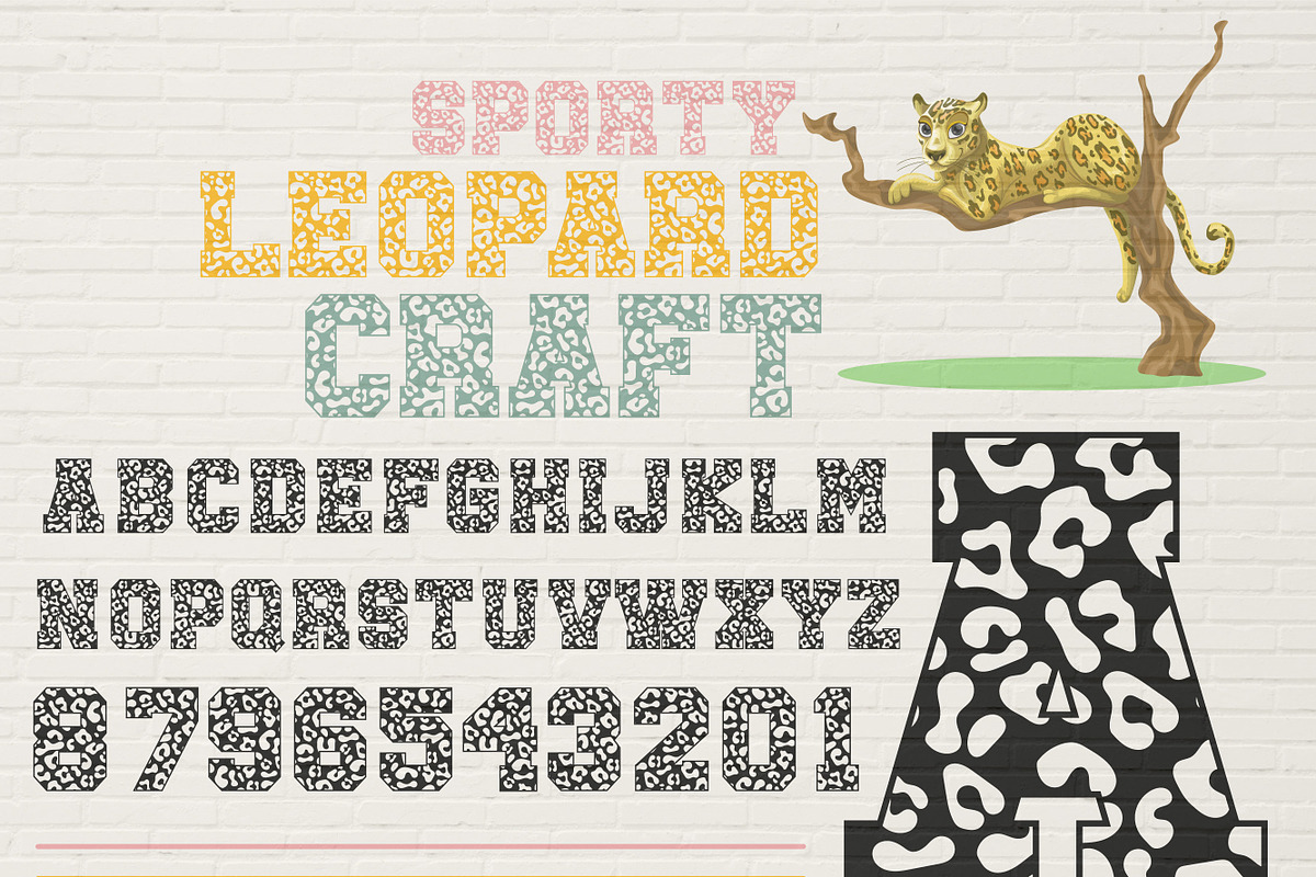College Font- Sporty Design, a Slab Serif Font by MaxArt Foundry (Photo 7 of 9)