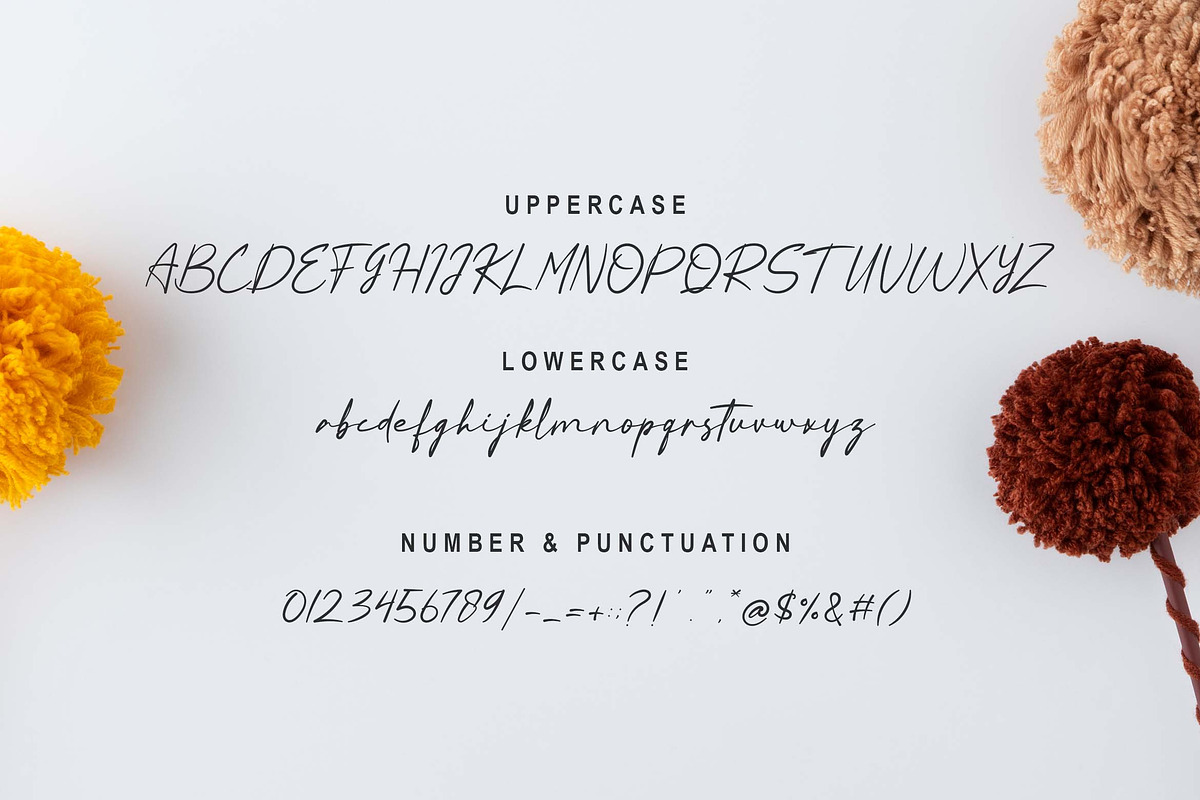 Qinara Font, a Script Font by Zelda Graphic (Photo 6 of 7)