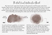 Next Level Watercolour Workshop, a Brush Add-On by SketchWerx (Thumbnail 17 of 21)