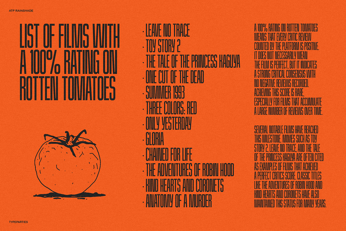 Rainshade - Condensed Display Font, a Sans Serif Font by Typeparties (Photo 10 of 12)