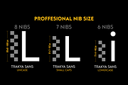 Trakya Sans, a Sans Serif Font by BULENT YUKSEL (Thumbnail 3 of 11)
