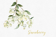 Watercolor Snowberry set, a Graphic by Colibri Watercolor (Thumbnail 4 of 5)