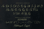 Palisade | Handwritten, a Handwritten Font by Aveni Letter Type (Thumbnail 10 of 15)