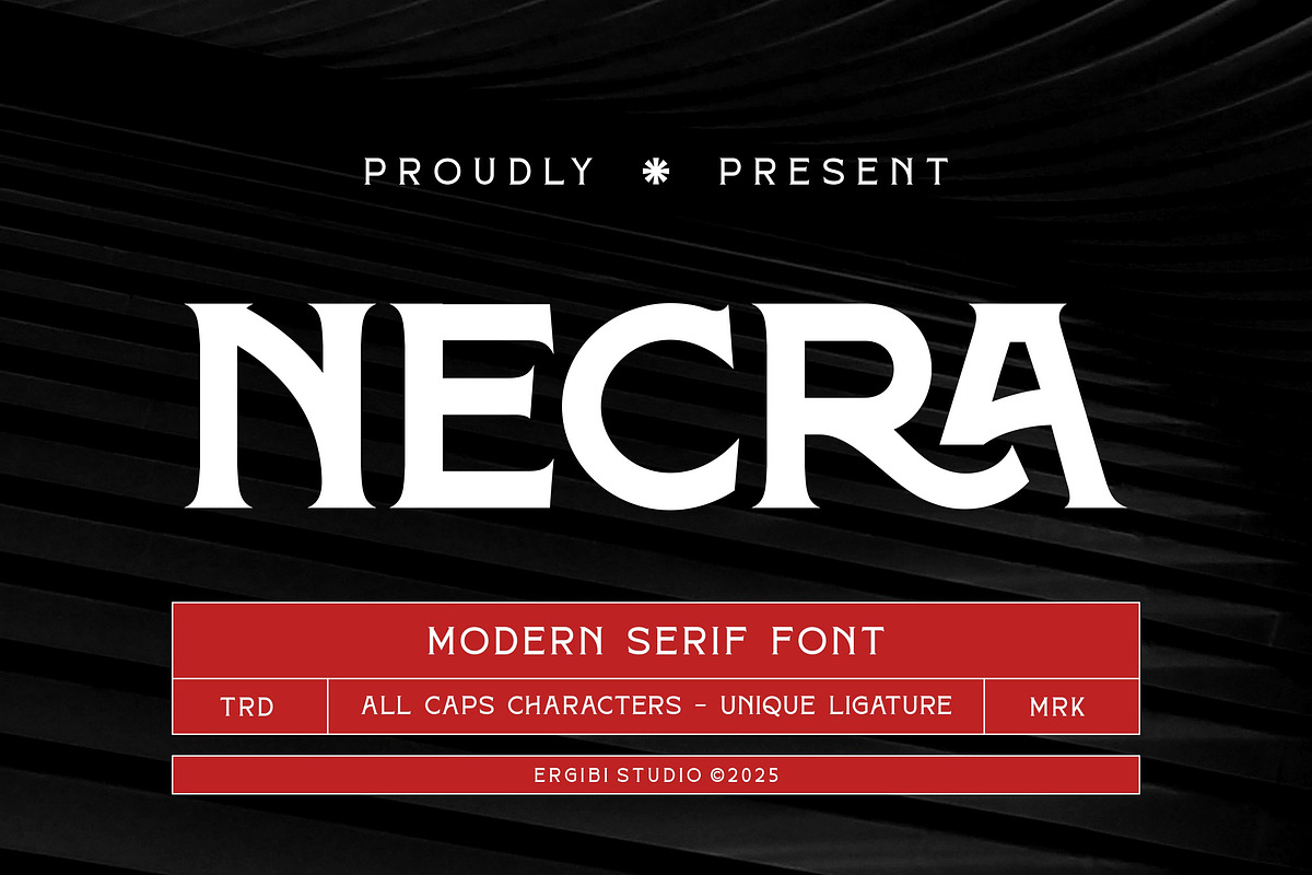 Necra - Modern Serif, a Serif Font by ErgibiStudio (Photo 1 of 12)