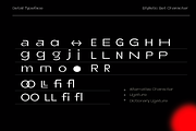 Neue Metana Font Family - 75% OFF, a Sans Serif Font by Dirtyline Studio (Thumbnail 4 of 14)