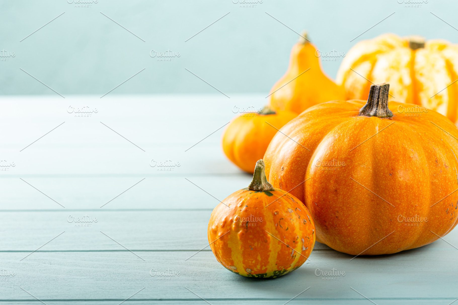 Autumn pumpkin thanksgiving featuring autumn, background, and squash, a Holiday Photo by Iryna Melnyk Photography